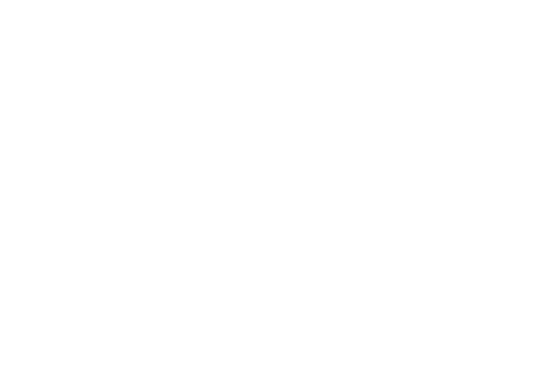 Logo Mirai Bay
